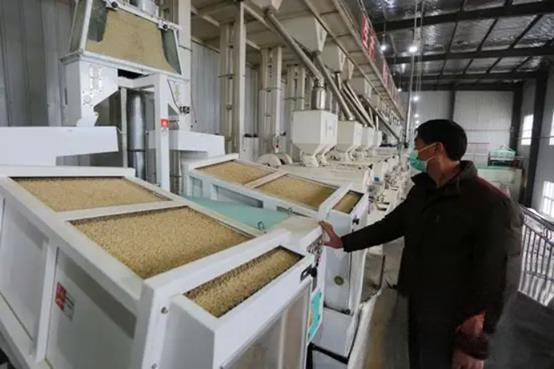 喀什武汉归园农业科技有限责任公司